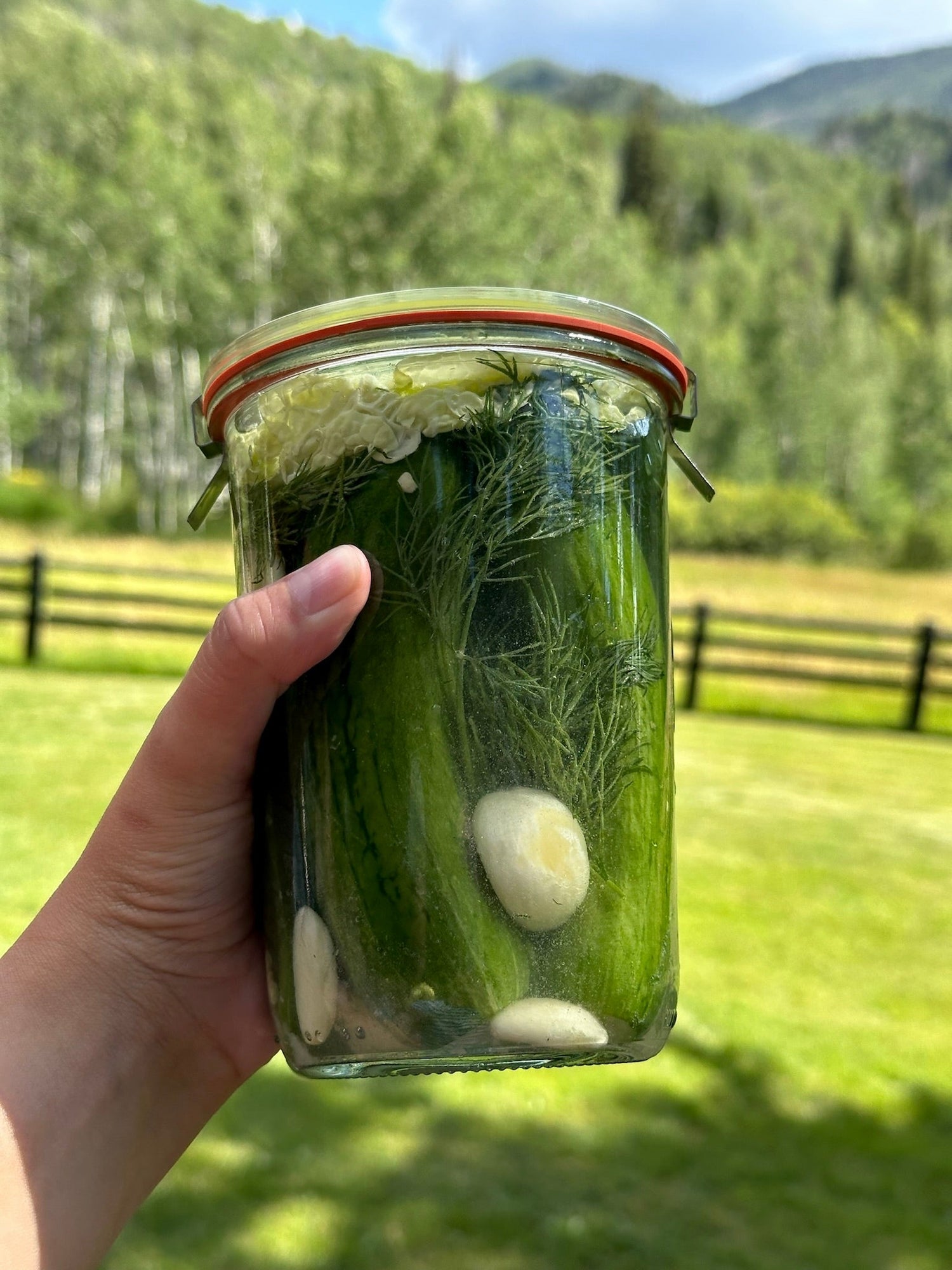 Lacto-Fermented Pickles - Ballerina Farm