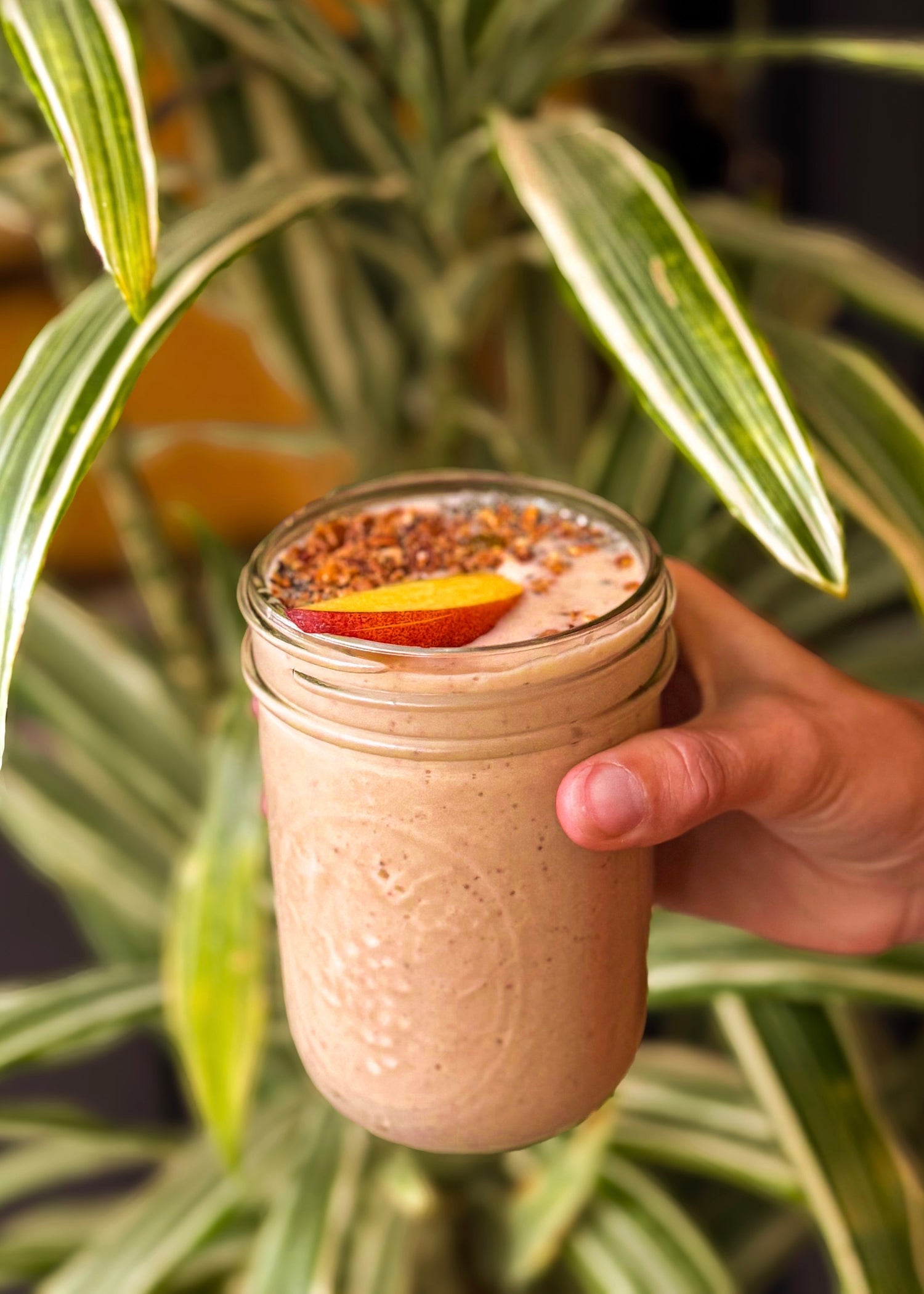 Salt Box Peaches and Cream Smoothie - Ballerina Farm