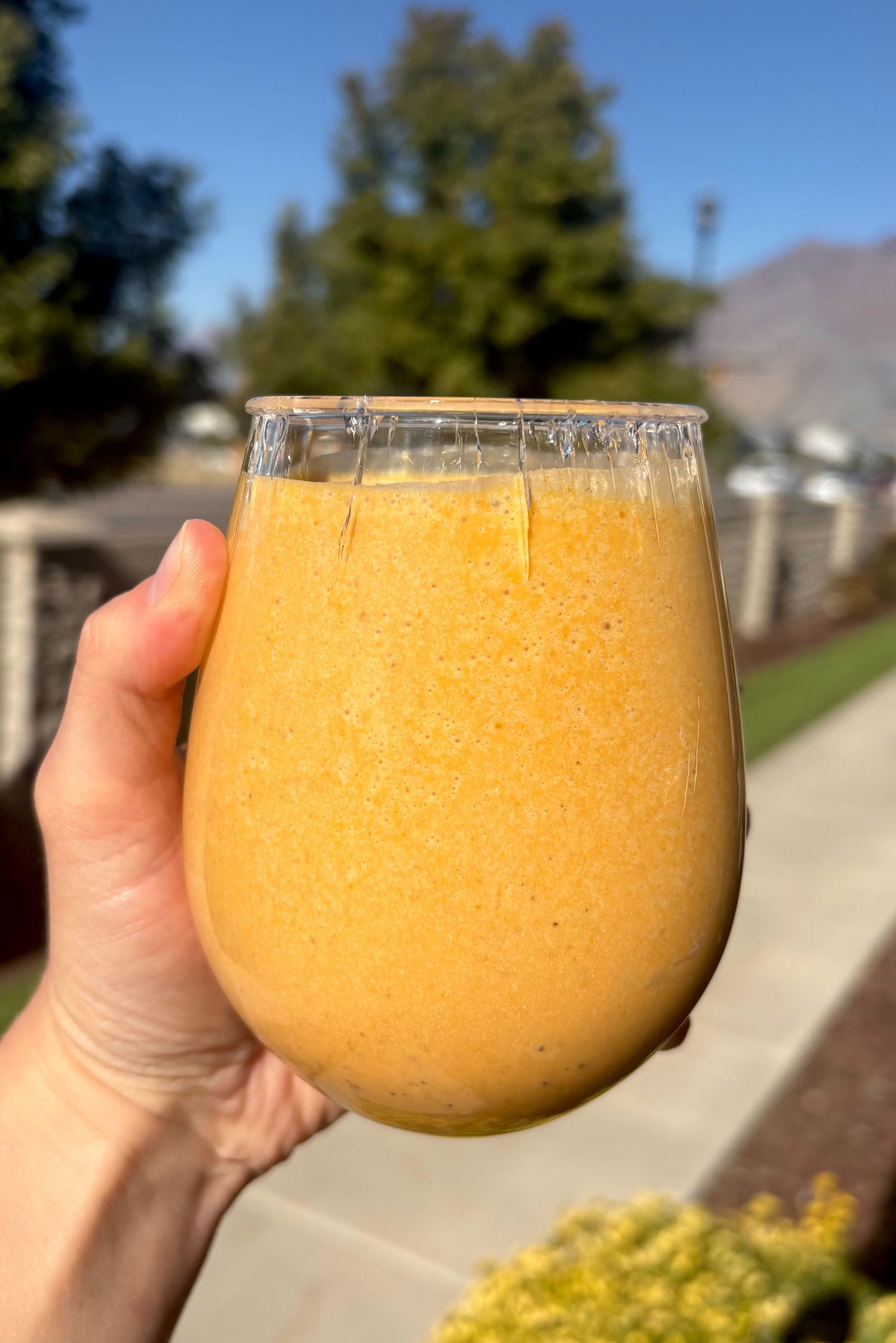Pumpkin Chai Protein Smoothie