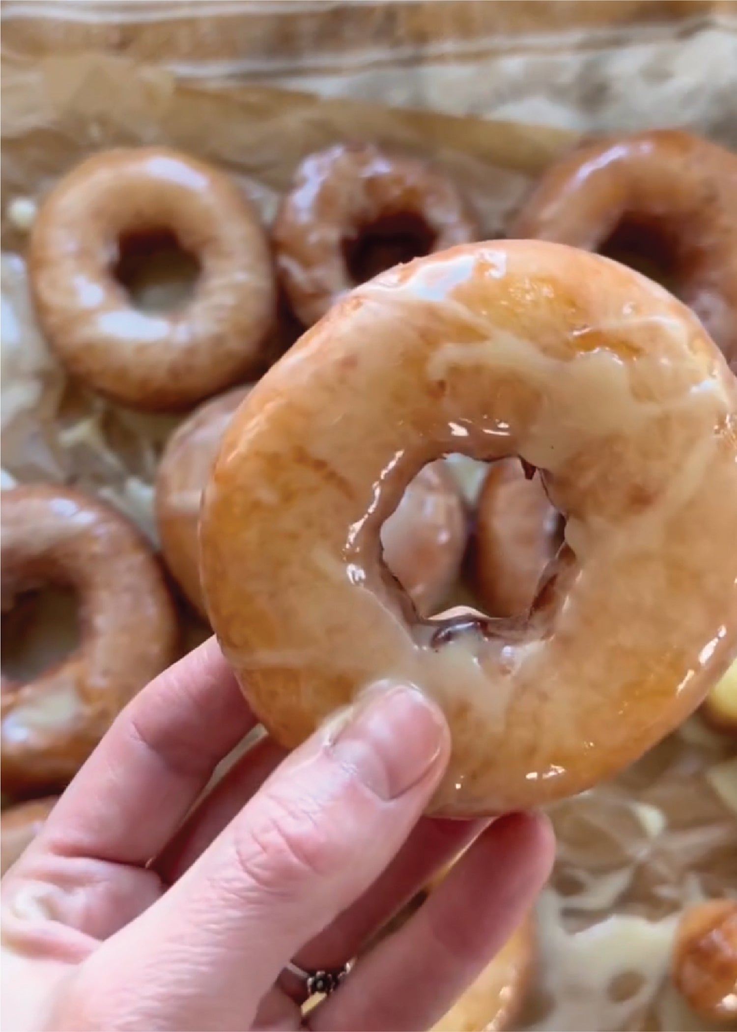 Buttermilk Sourdough Glazed Donuts