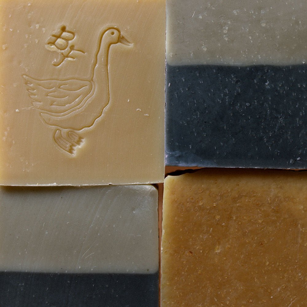 Hand & Body Soap - Ballerina Farm