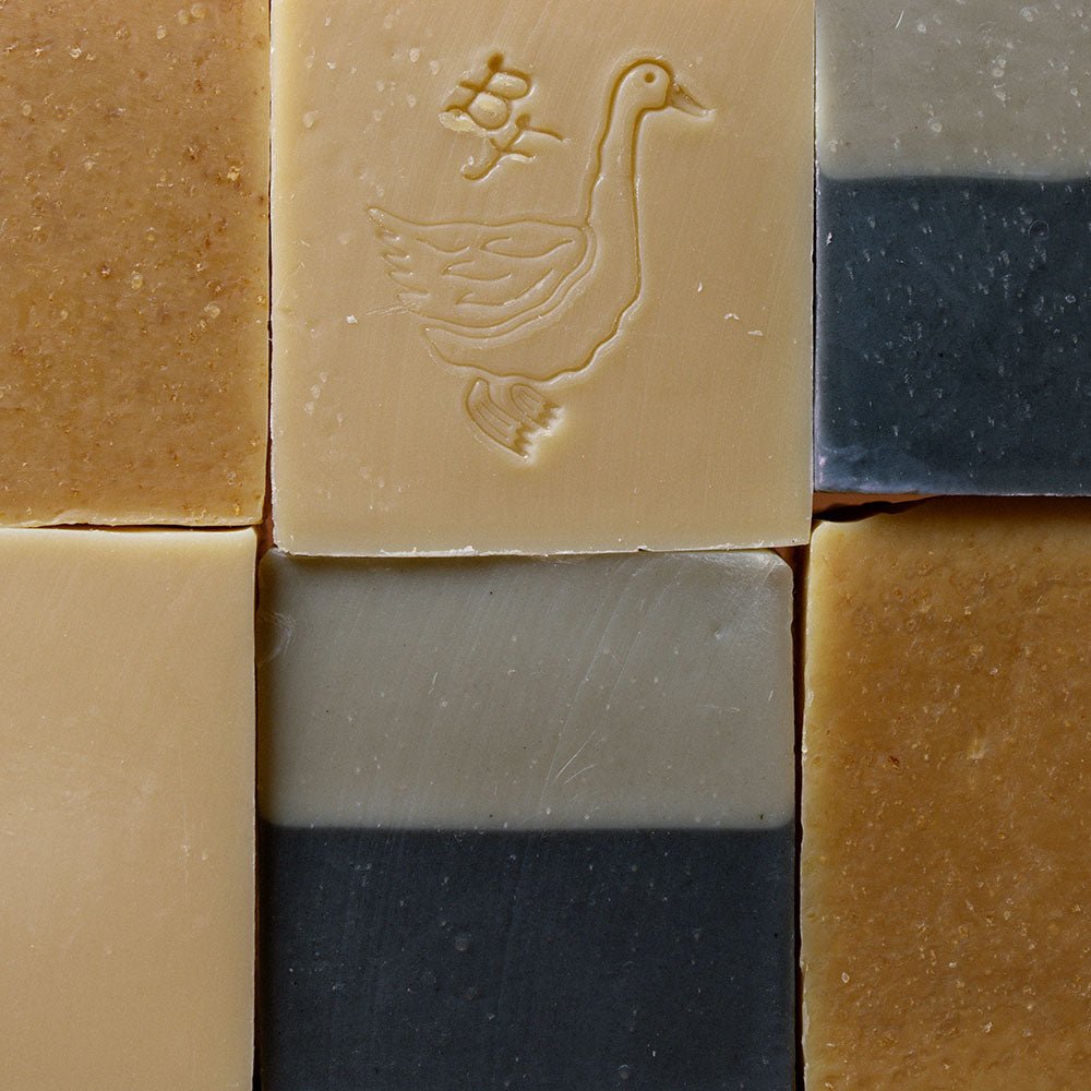 Hand & Body Soap - Ballerina Farm