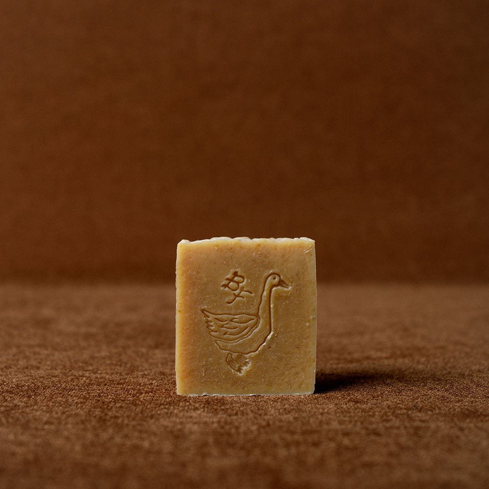 Hand & Body Soap - Ballerina Farm