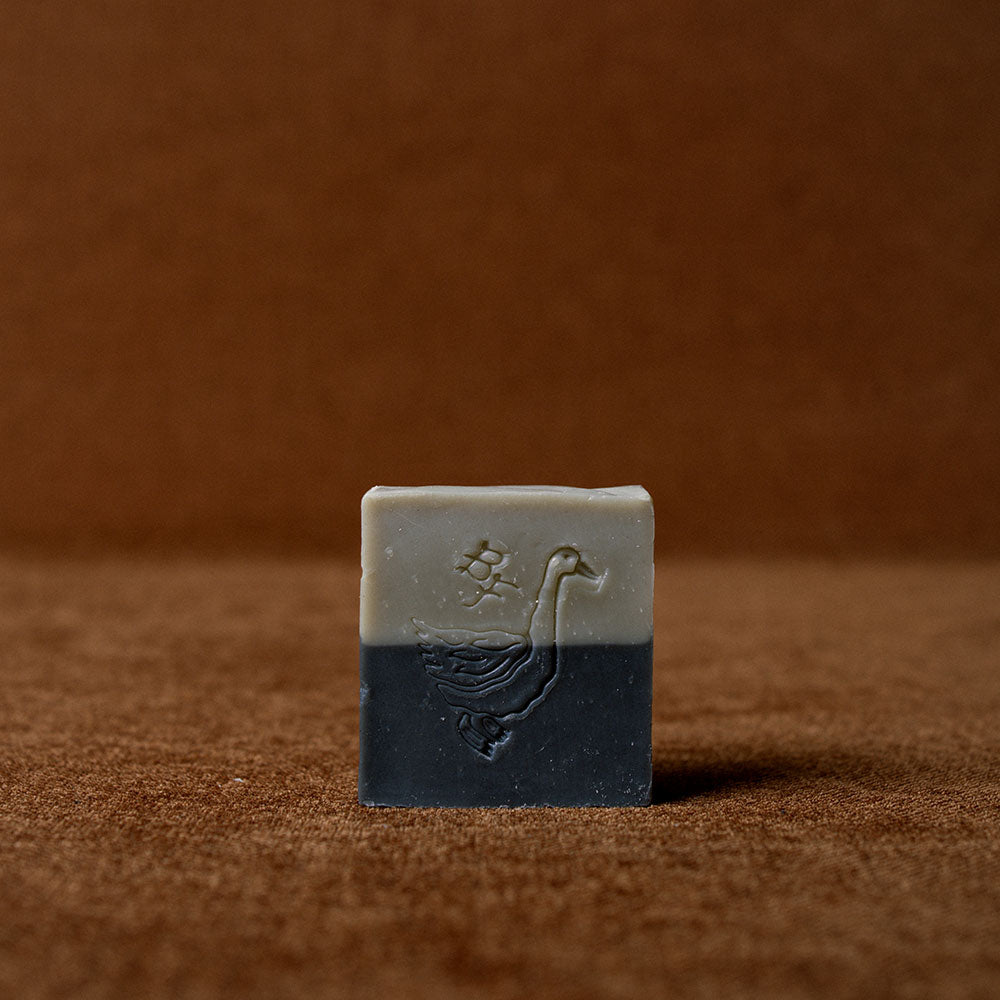 Hand & Body Soap - Ballerina Farm
