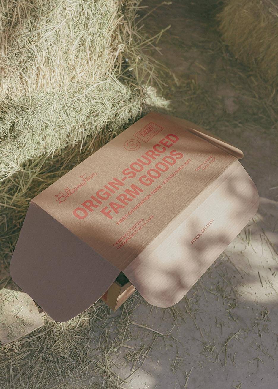 All - Beef Encore Subscription Box - Ballerina Farm