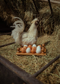 Bobbin Egg Rack - Ballerina Farm
