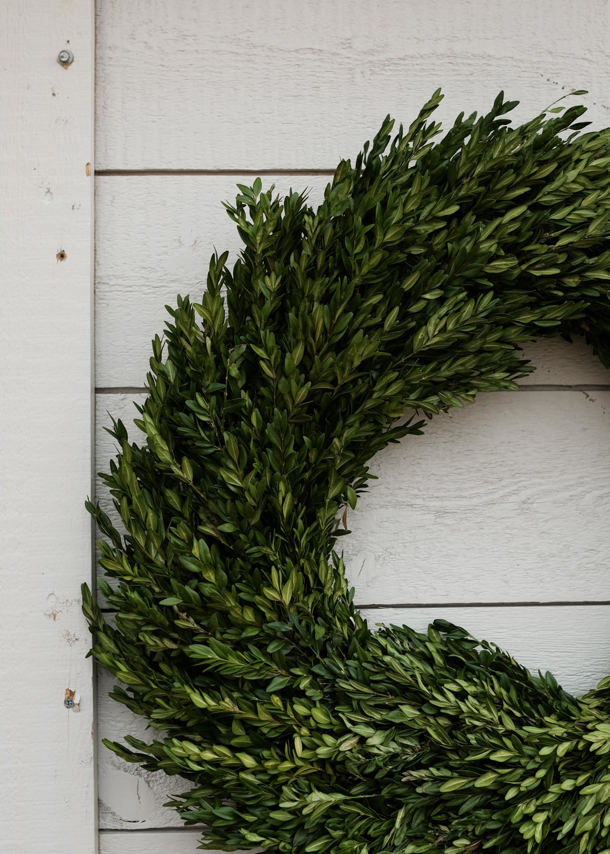 Holiday Wreaths & Garlands