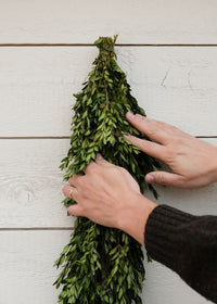 Holiday Wreaths & Garlands