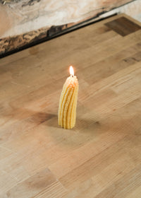 Fruit & Veggie Beeswax Candles