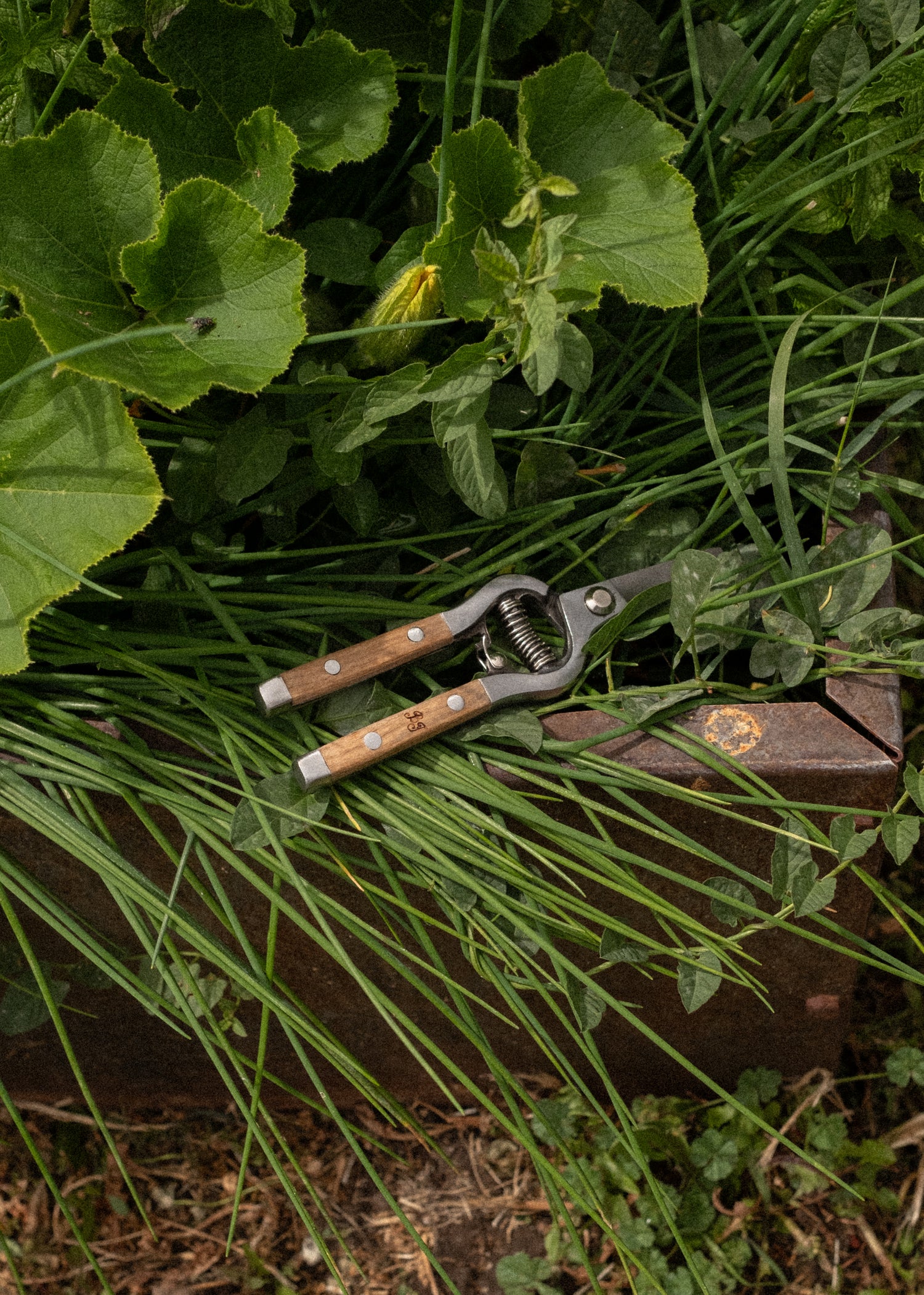 Flower Shears