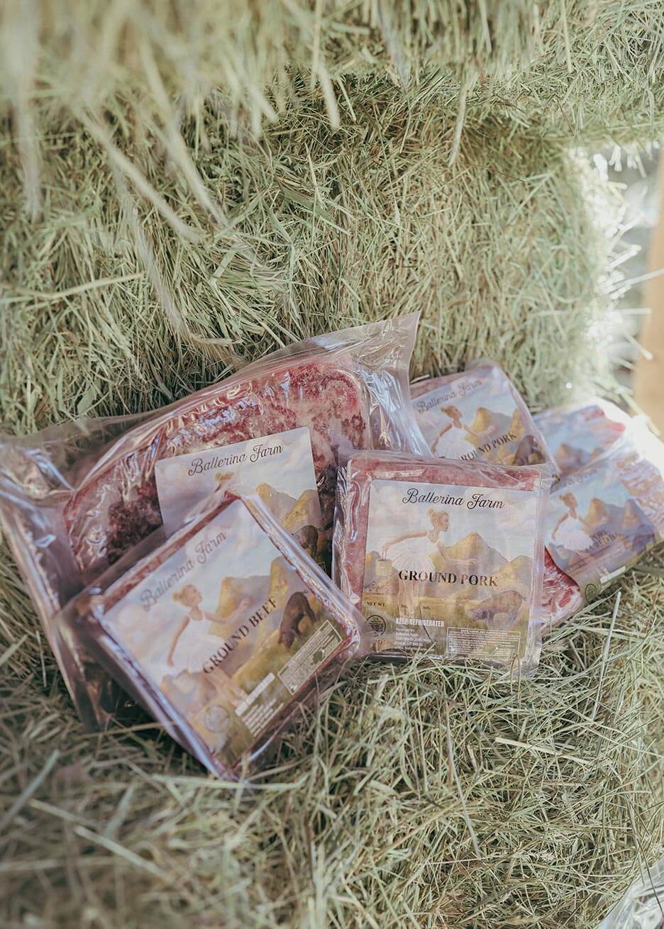 Hannah's Favorites Encore Subscription Box - Ballerina Farm