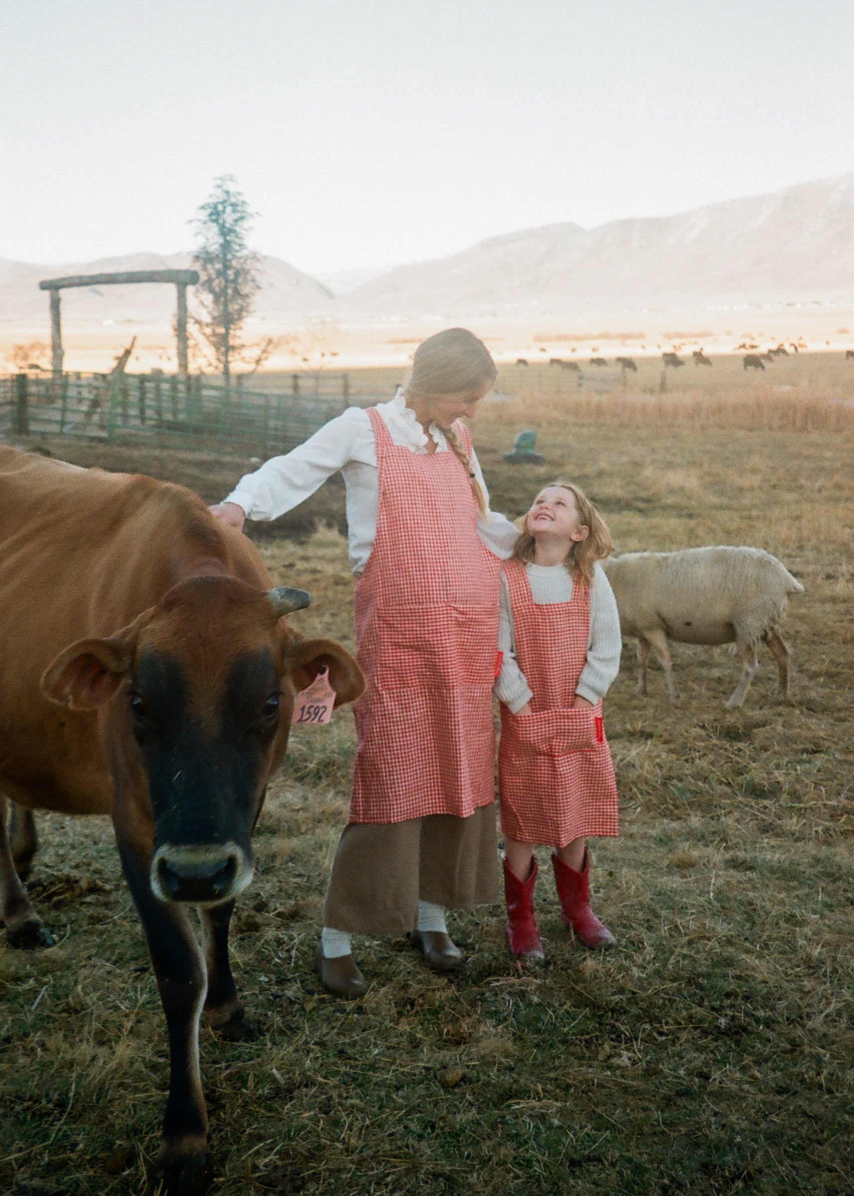 Ballerina Farm | Ballerina Farm - Mountain Raised Meat