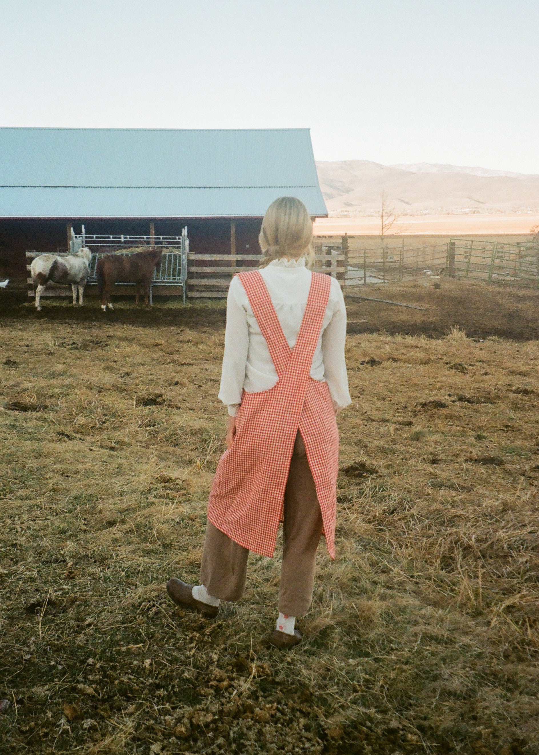 Adult Jour Apron Ballerina Farm