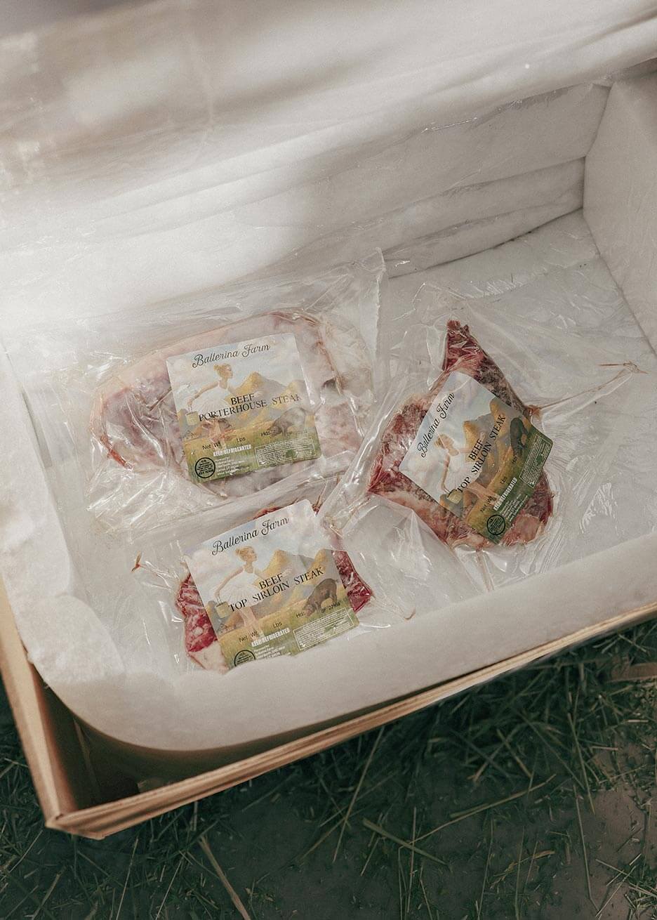 Premium Encore Subscription Box - Ballerina Farm