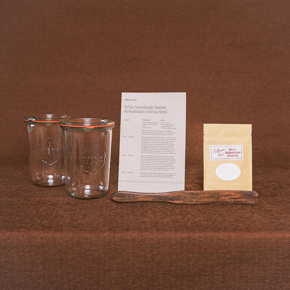 Sourdough Essentials