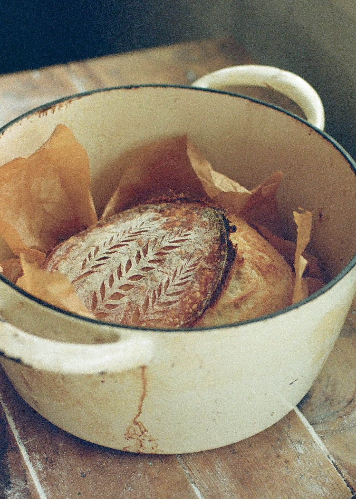 Sourdough Kit | Ballerina Farm