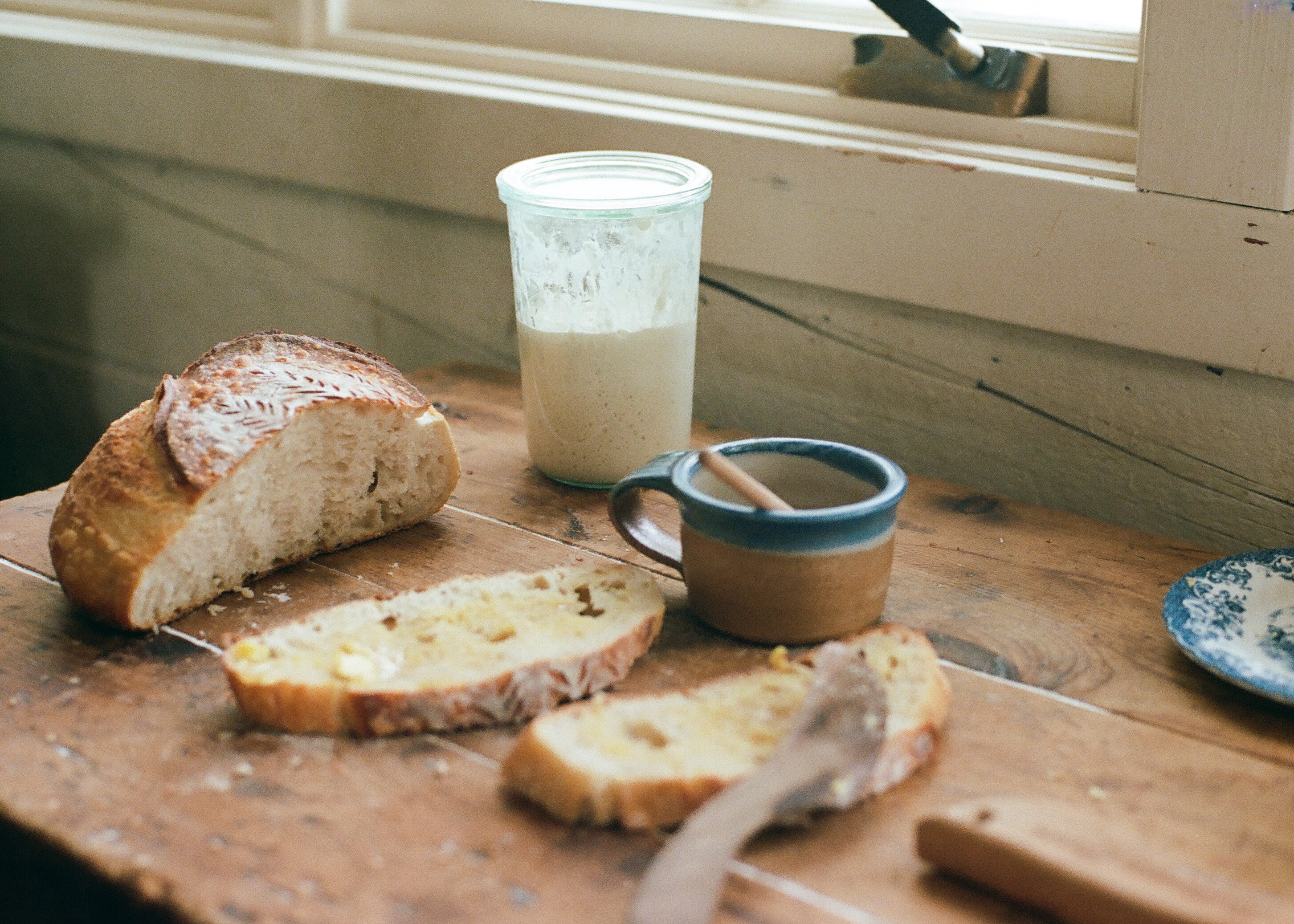 Bread starter culture – LBB BR