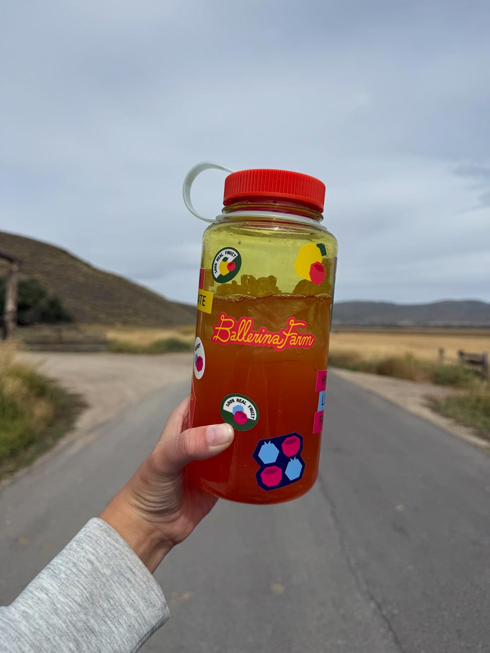 Water Bottle & Sticker Sheet