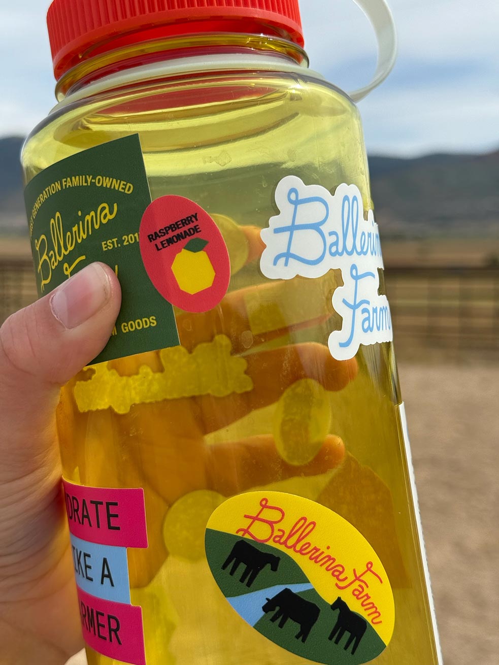 Water Bottle & Sticker Sheet