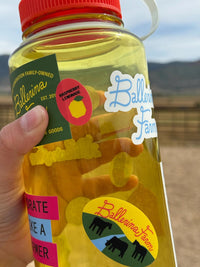 Water Bottle & Sticker Sheet