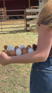 Bobbin Egg Rack